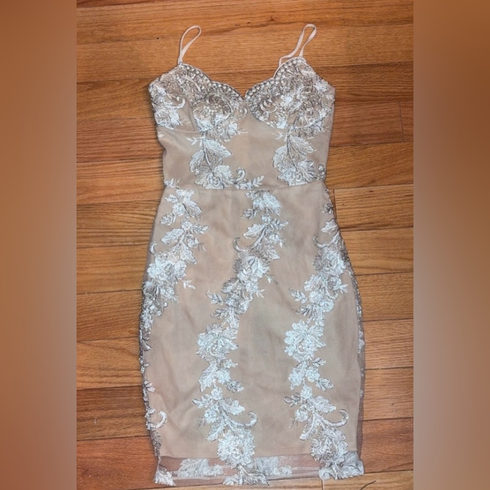 Windsor Nude Lace Appliqué Bodycon Dress